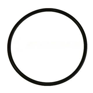 484-898 O-RING